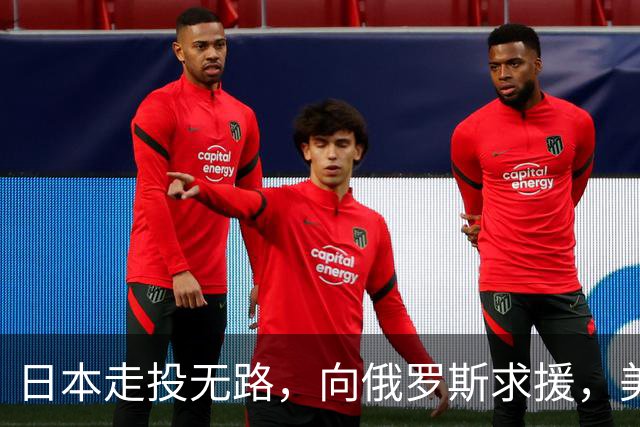 日本走投无路，向俄罗斯求援，美国发现，中方已悄悄拿下全球第一